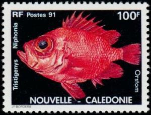 Colnect-854-601-Japanese-Bigeye-Tristigenys-niphonia.jpg