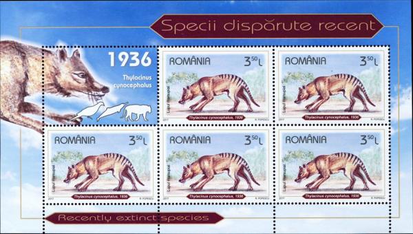 Colnect-5059-502-Tasmanian-Tiger-Thylacinus-cynocephalus.jpg