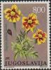 Colnect-505-431-Tagetes-patula-nana.jpg