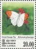 Colnect-2269-180-Great-Orange-Tip-Hebomoia-glaucippe.jpg