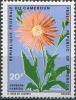 Colnect-2155-537-Gerbera-hybrida.jpg