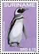 Colnect-4204-529-Spheniscus-magellanicus-Magellanic-Penguin.jpg