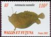 Colnect-900-281-Spotfin-Frogfish-Antennacius-nummifer.jpg