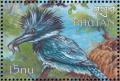 Colnect-3385-964-Belted-Kingfisher-Megaceryle-alcyon.jpg