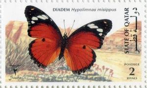 Colnect-2843-123-Danaid-Eggfly-Hypolimnas-misippus.jpg