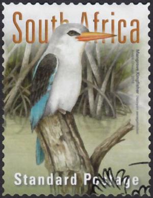 Colnect-4389-098-Mangrove-Kingfisher-Halcyon-senegaloides.jpg