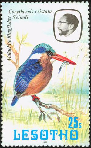 Colnect-745-212-Malachite-Kingfisher-Corythornis-cristata.jpg