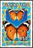 Colnect-5924-603-Danaid-Eggfly-Hypolimnas-misippus.jpg