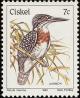 Colnect-1476-727-Giant-Kingfisher-Megaceryle-maxima.jpg