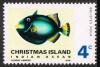 Colnect-1432-103-Grey-Triggerfish-Balistes-vidua-.jpg