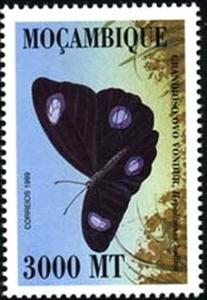 Colnect-2464-644-Great-Eggfly-Hypolimnas-bolina.jpg