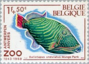 Colnect-184-898-Orange-lined-Triggerfish--Balistapus-undulatus.jpg