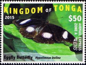 Colnect-2973-376-Great-Eggfly-Hypolimnas-bolina.jpg