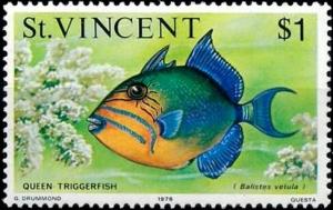 Colnect-5859-347-Queen-Triggerfish-Balistes-vetula.jpg