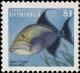 Colnect-3215-571-Queen-Triggerfish-Balistes-vetula.jpg