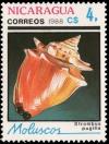 Colnect-2757-541-West-Indian-Fighting-Conch-Strombus-pugilis.jpg