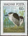 Colnect-586-448-Black-crowned-night-heron-Nycticorax-nycticorax.jpg