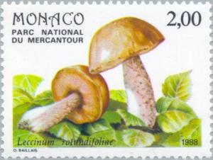 Colnect-149-279-Rough-stemmed-bolete.jpg