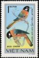 Colnect-5174-476-Collared-Laughingthrush-Garrulax-yersini.jpg