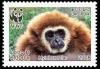 Colnect-1614-728-Lar-Gibbon-Hylobates-lar.jpg