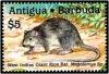 Colnect-2907-441-West-Indies-Giant-Rice-Rat-Megalomys-sp.jpg