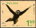 Colnect-3794-162-Lar-Gibbon-Hylobates-lar.jpg