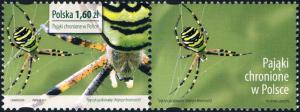 Colnect-1948-102-Stripe-Argiope-Argiope-bruennichi.jpg