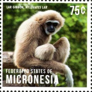 Colnect-4235-790-Lar-Gibbon-Hylobates-lar.jpg