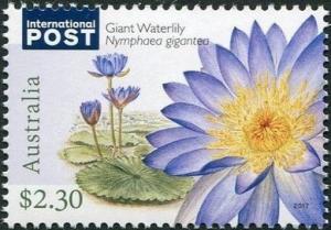 Colnect-4393-317-Giant-Waterlily.jpg