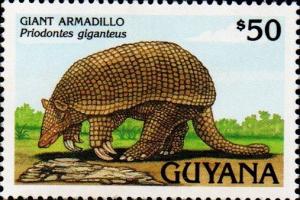 Colnect-4910-609-Giant-Armadillo.jpg