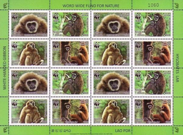 Colnect-1614-732-Lar-Gibbon-Hylobates-lar.jpg