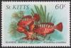 Colnect-3680-265-Glasseye-snapper.jpg