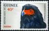 Colnect-540-658-Bateleur-Eagle-Terathopius-ecaudatus.jpg