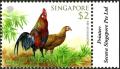 Colnect-5564-326-Red-Junglefowl-Gallus-gallus-.jpg