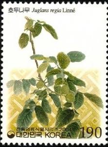 Colnect-1605-223-Juglans-regia-Linn%C3%A9.jpg