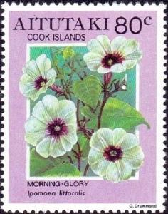 Colnect-2854-943-Morning-glory-Ipomoea-littoralis.jpg