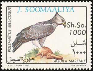 Colnect-1744-805-Martial-Eagle-Polemaetus-bellicosus.jpg