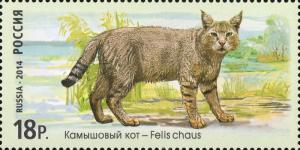 Colnect-2240-156-Jungle-Cat-Felis-chaus.jpg