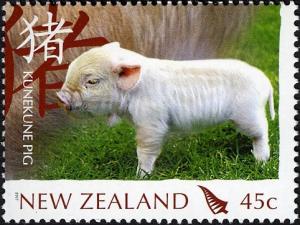 Colnect-446-931-Kunekune-Piglet-Sus-scrofa-domestica.jpg