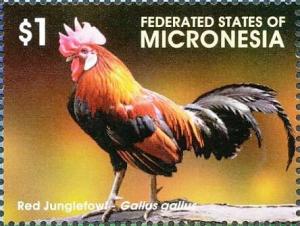 Colnect-5782-026-Red-Junglefowl---Gallus-gallus.jpg