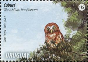 Colnect-3240-723-Ferruginous-Pygmy-Owl-Glaucidium-brasilianum.jpg