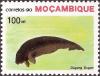 Colnect-1122-351-Dugong-Dugong-dugon.jpg