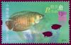 Colnect-1464-845-Dwarf-Gourami-Colisa-lalia-.jpg