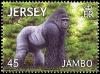 Colnect-1631-483-Western-Lowland-Gorilla-Gorilla-gorilla-gorilla.jpg