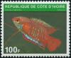 Colnect-1634-501-Banded-Gourami-Colisa-fasciata.jpg