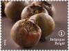 Colnect-2728-466-Forgotten-fruit-Medlar.jpg