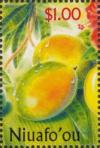 Colnect-4827-737-Mango-Mangifera-indica.jpg