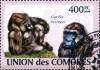 Colnect-4906-418-Gorilla-beringei.jpg