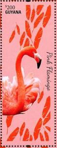 Colnect-4634-651-Chilean-Flamingo----Phoenicopterus-chilensis.jpg