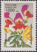 Colnect-1830-111-Snapdragons-Antirrhinum-majus.jpg